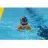 Sporturi acvatice